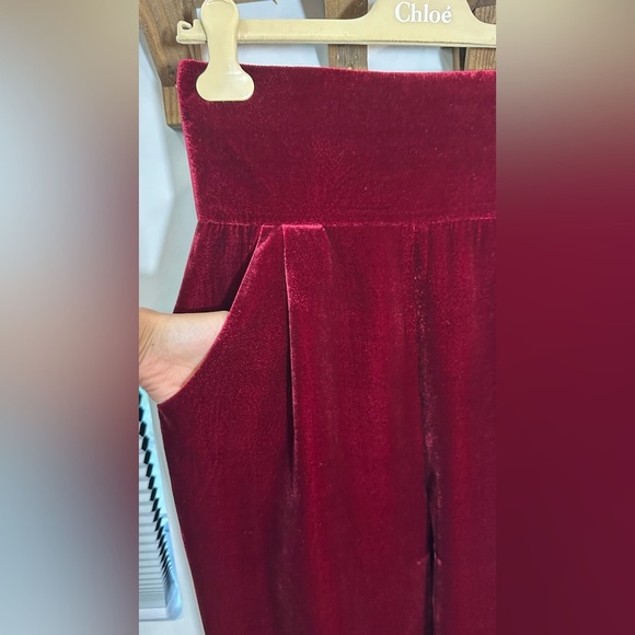 NWT Rasario Silk Velvet High Waisted Trouser Pants Burgundy FR 40 (US 6) - Picture 7 of 14